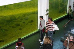 Killikus® Fotographie